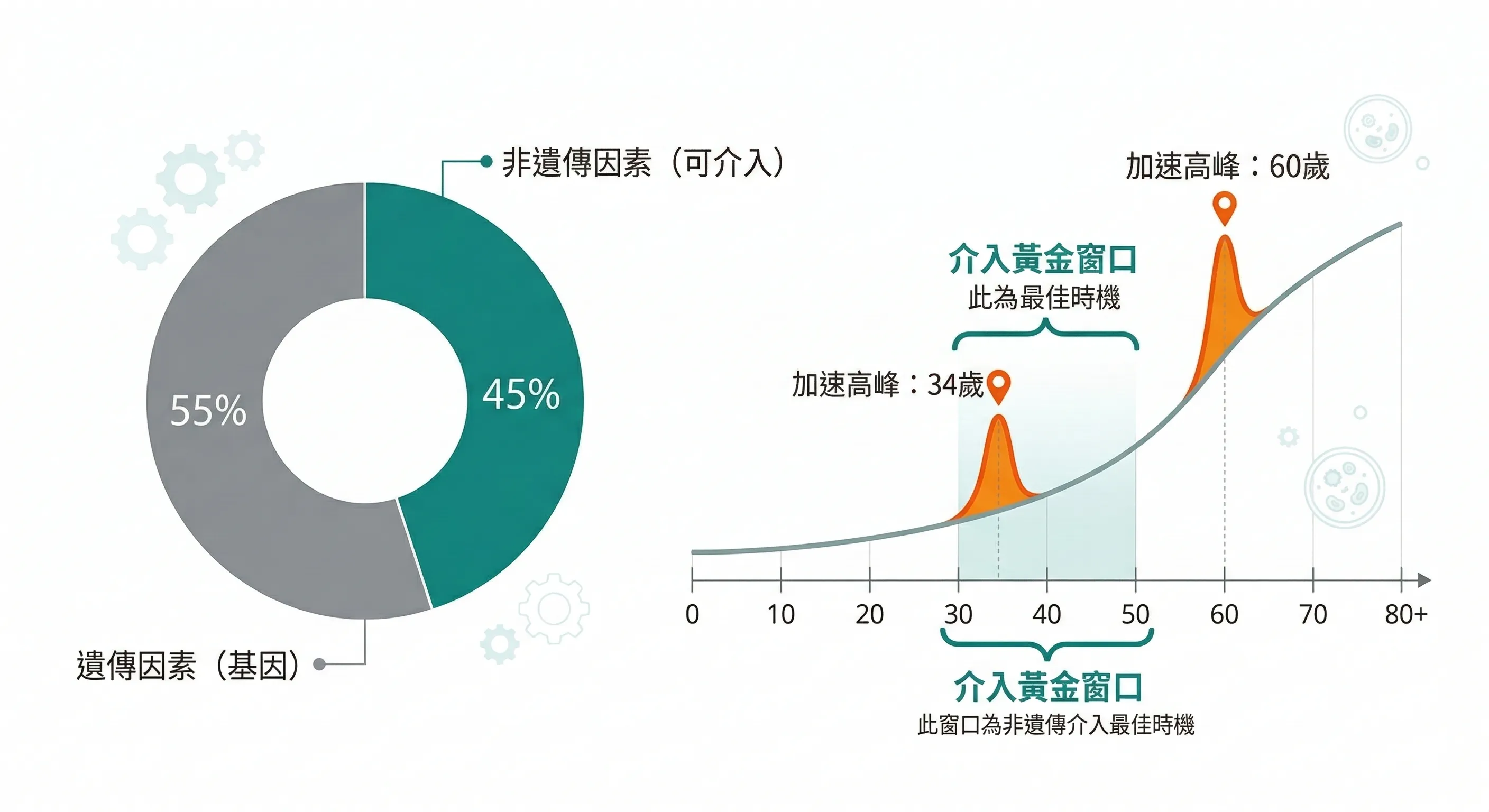 介入黃金窗口