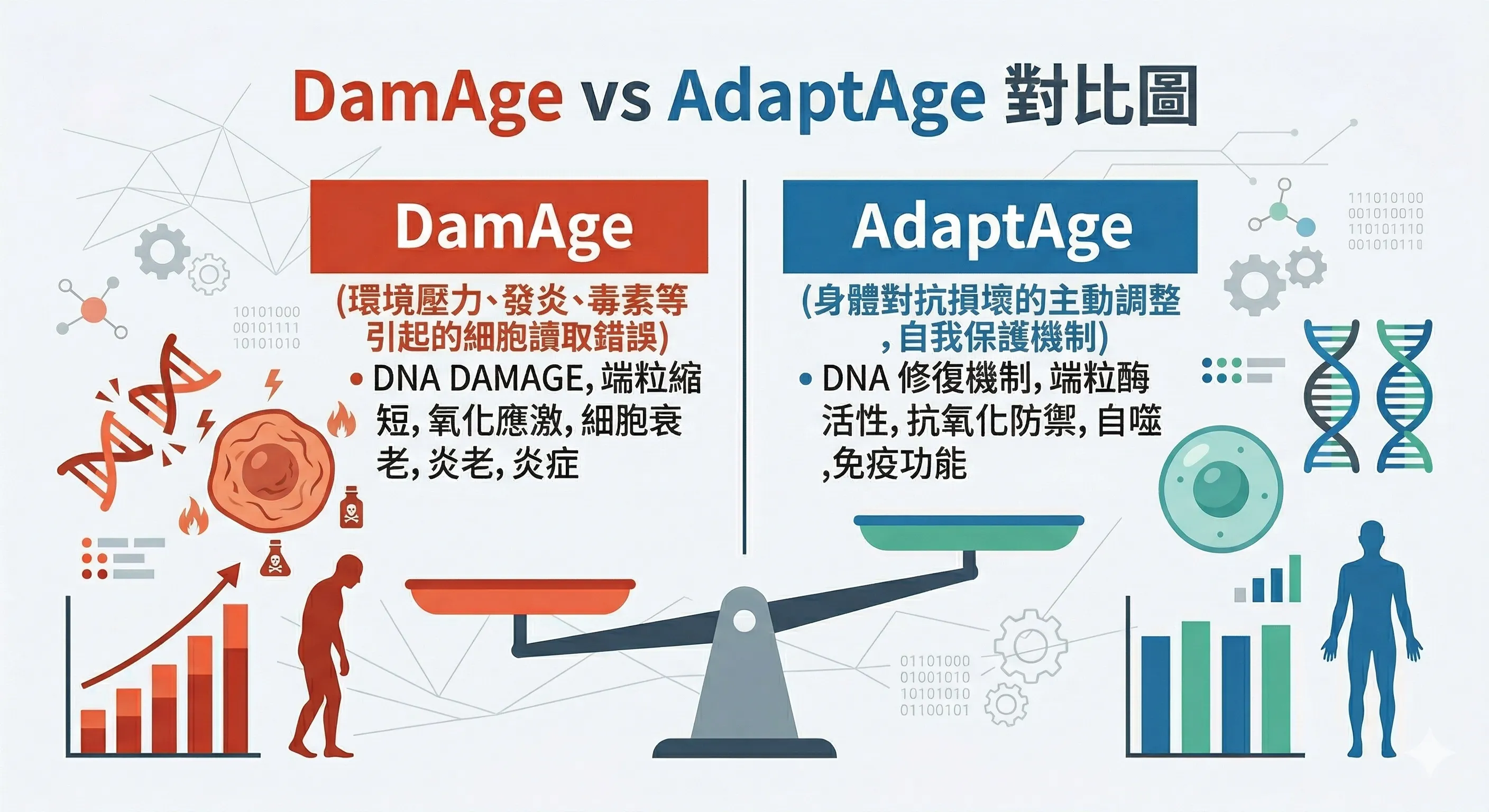 DamAgevsAdaptAge