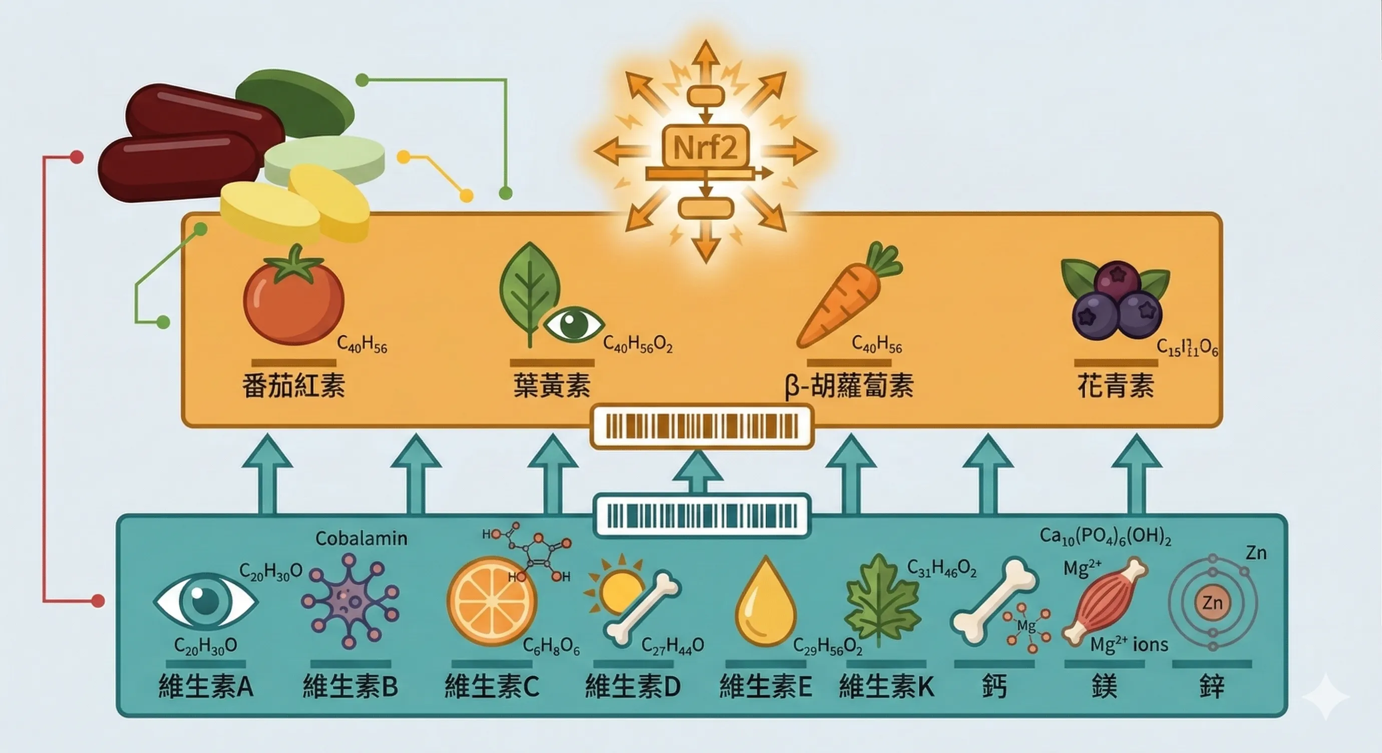 LifePak多層抗氧化